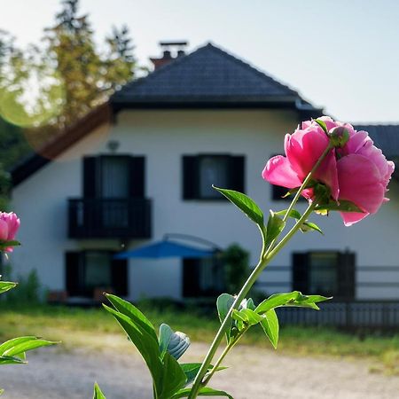 Apartments Zakrasnik Škofja Loka المظهر الخارجي الصورة