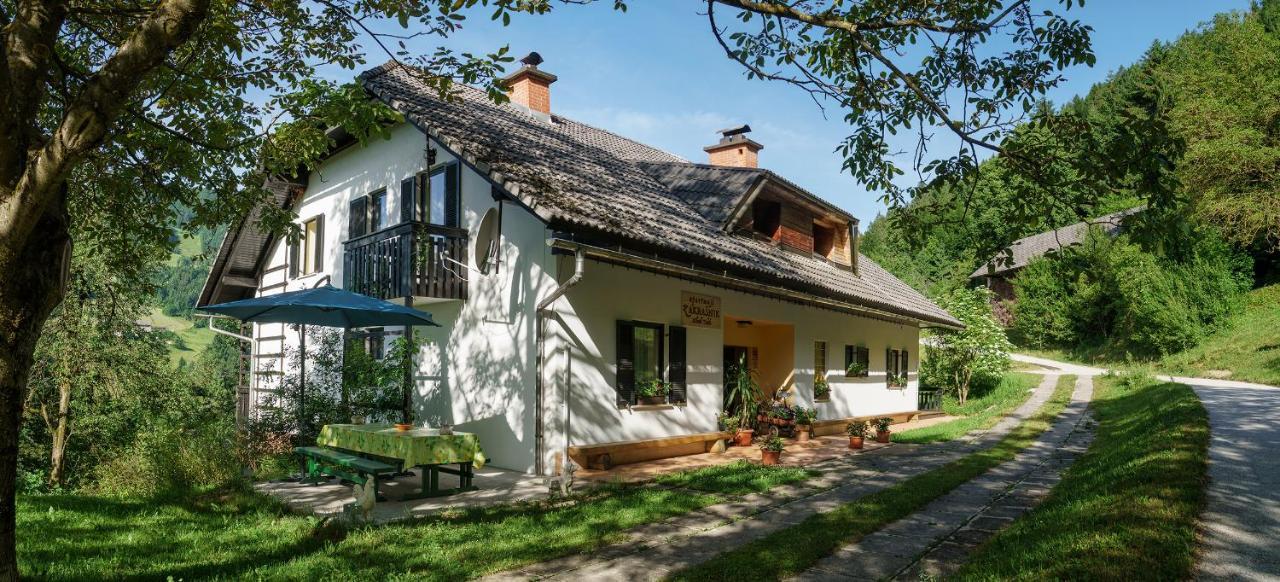 Apartments Zakrasnik Škofja Loka المظهر الخارجي الصورة