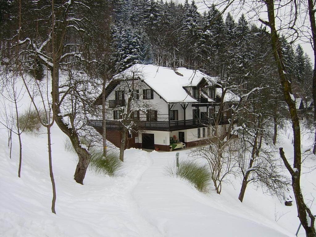 Apartments Zakrasnik Škofja Loka الغرفة الصورة