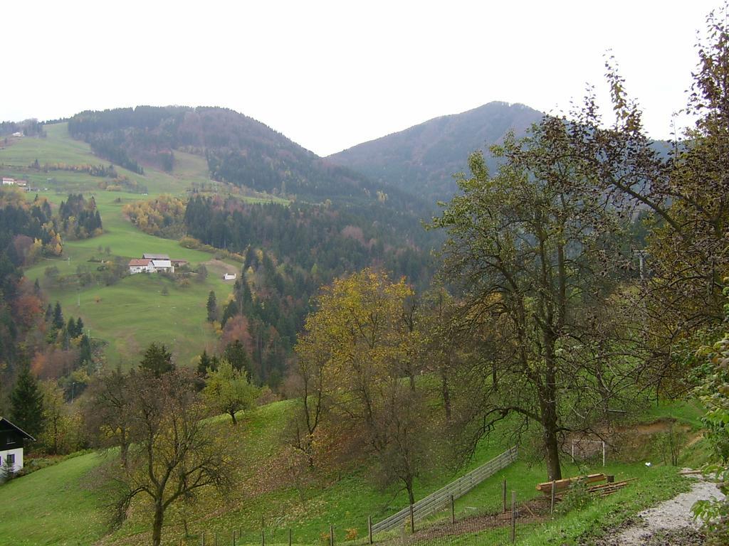 Apartments Zakrasnik Škofja Loka المظهر الخارجي الصورة